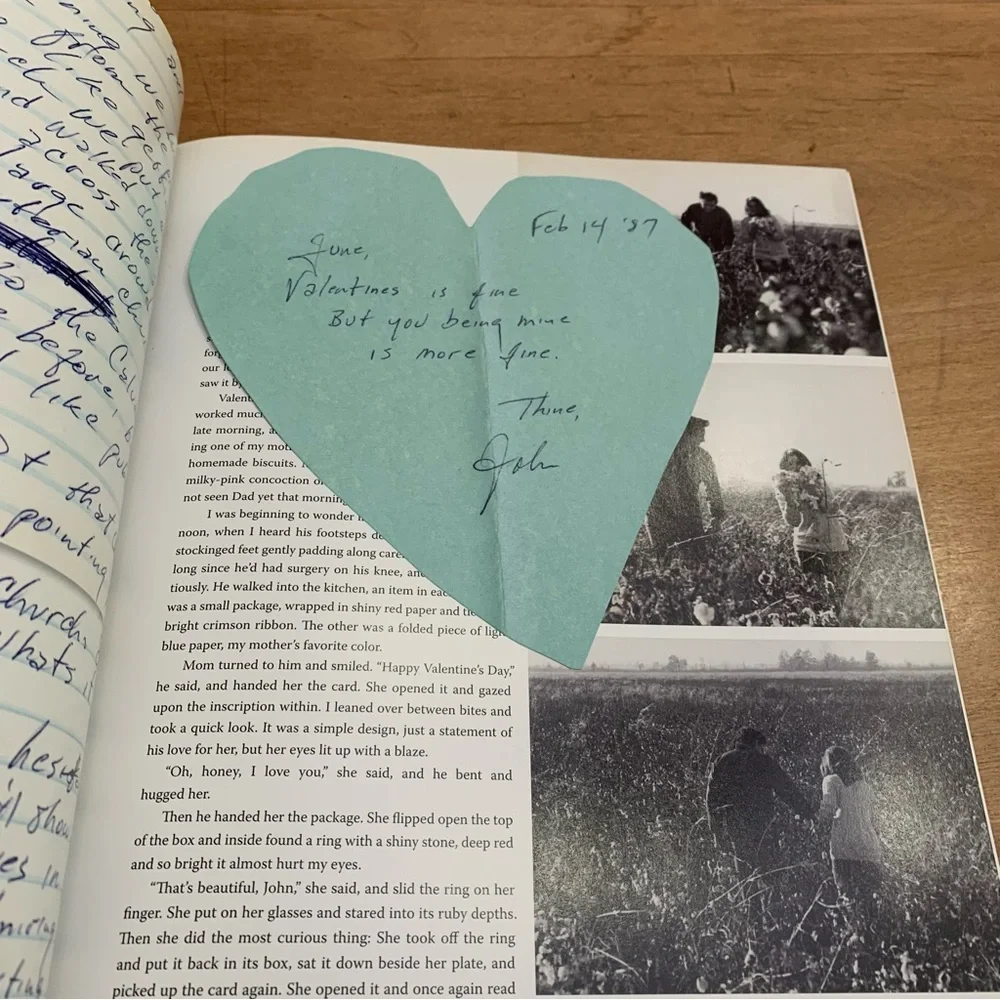 Book about Johnny Cash - House of Cash - hard cover